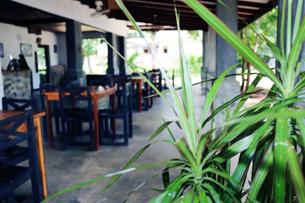 Manel Guest House Polonnaruwa Exteriér fotografie