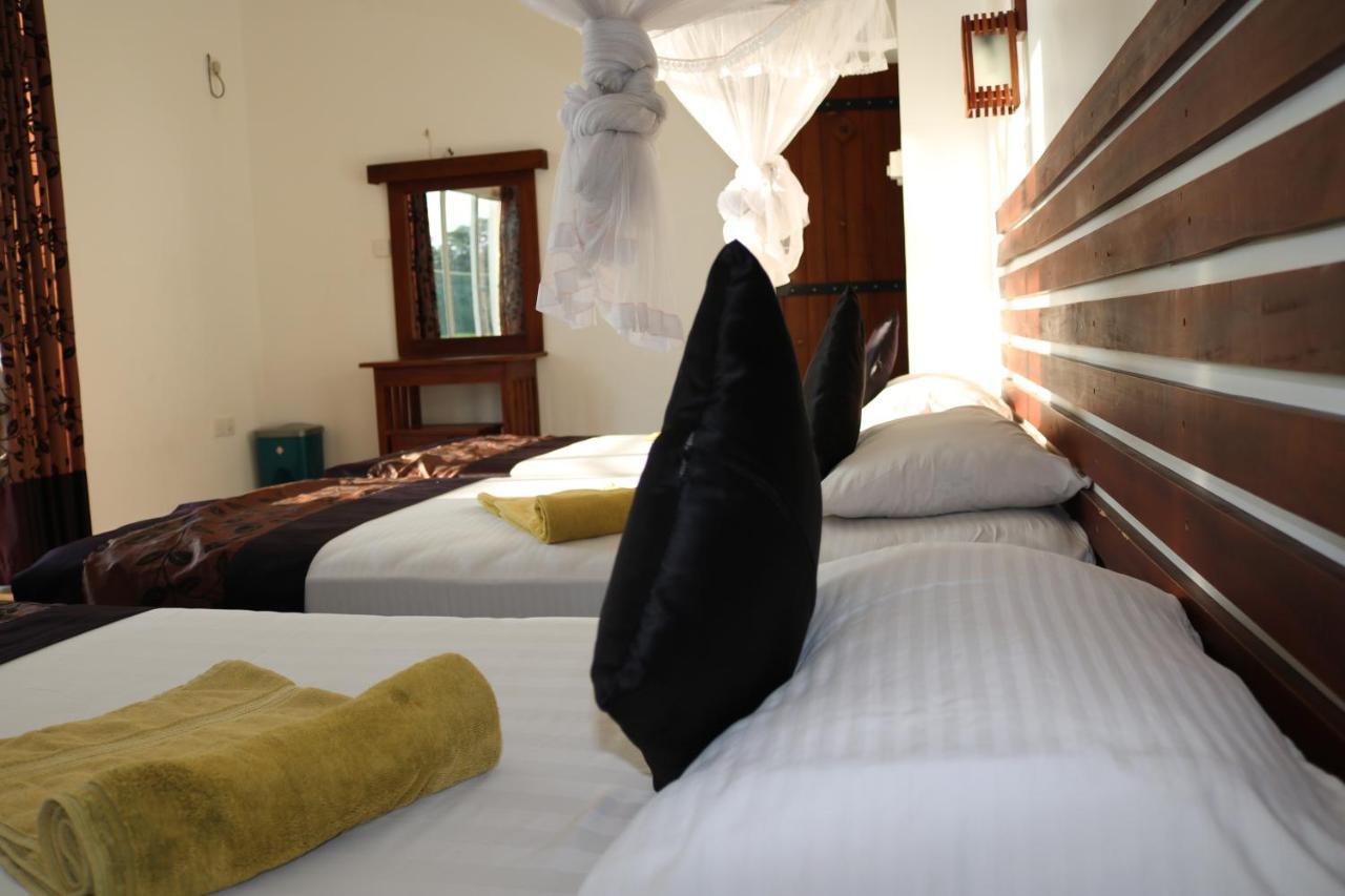 Manel Guest House Polonnaruwa Exteriér fotografie