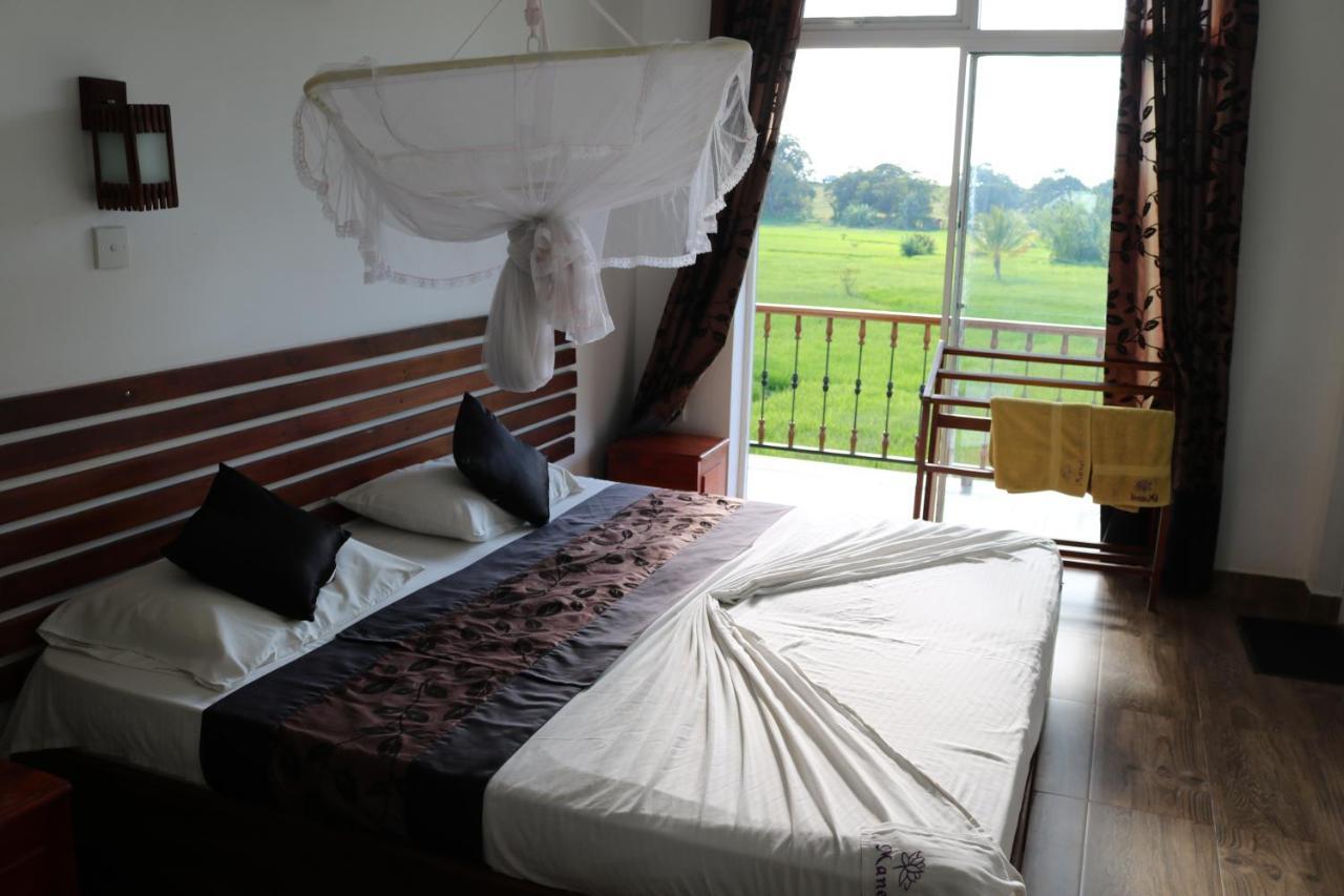 Manel Guest House Polonnaruwa Exteriér fotografie